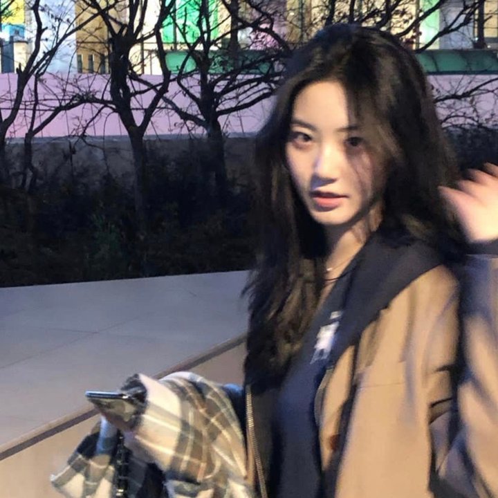 安妮·雪莉